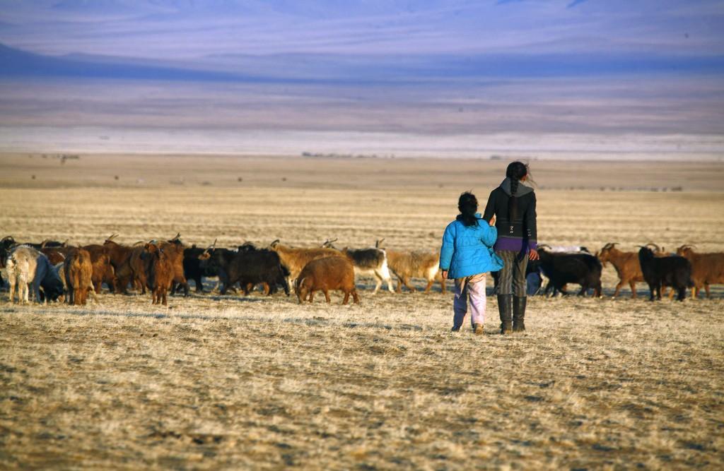 Digitized nomads: Lessons we can learn from Mongolia's nomadic herders in the age of AI